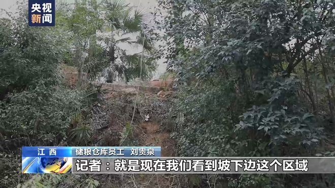 总台记者调查:胡某宇的尸体被发现现场情况