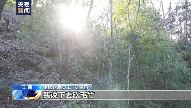 总台记者调查:胡某宇的尸体被发现现场情况