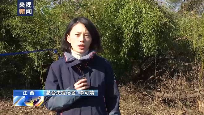 总台记者调查:胡某宇的尸体被发现现场情况