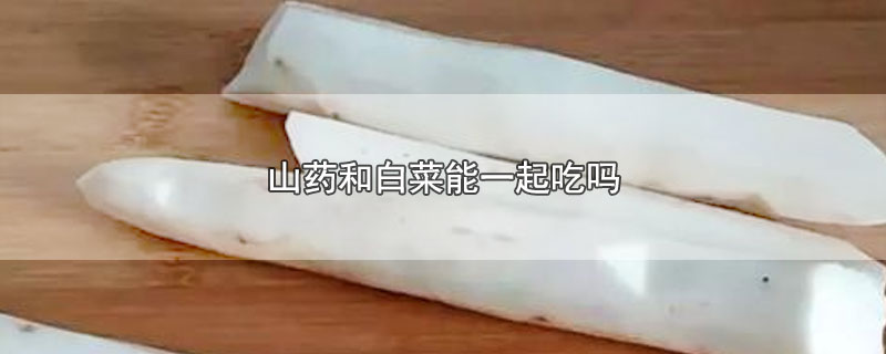 山药和白菜能一起吃吗（常吃山药有什么好处和坏处）