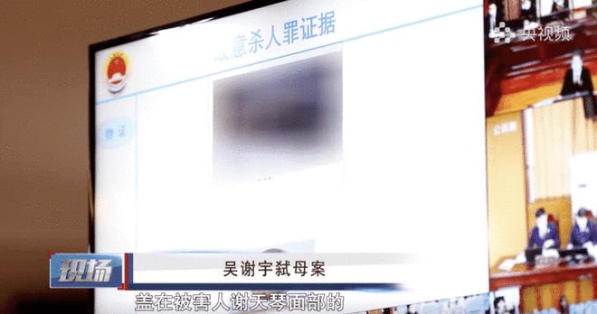 吴谢宇案二审恢复审理:5月19日开庭,此前一审判处死刑