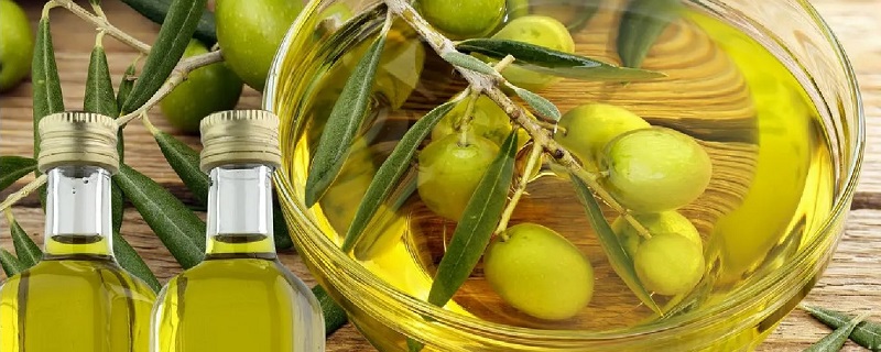 橄榄油低温状态下会凝固吗 橄榄油低温状态下会凝固吗为什么