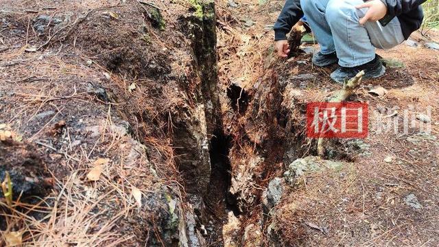 9岁男孩失踪13年后尸骨现身山林地缝，两名村妇被警方带走