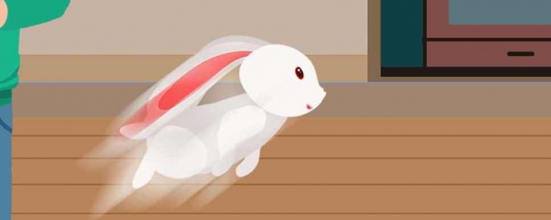 复活节的兔子什么来历