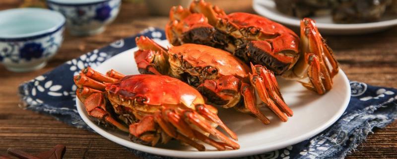 减肥期间最多吃几个大闸蟹（减肥食谱一周瘦10斤科学减肥）