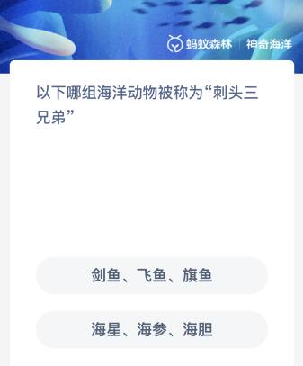 以下哪组海洋动物被称为“刺头三兄弟”？神奇海洋12.14今日答案最新