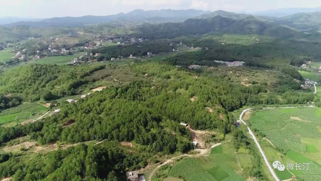 3起典型问题曝光!一地举债造“有轨电车”致巨大浪费