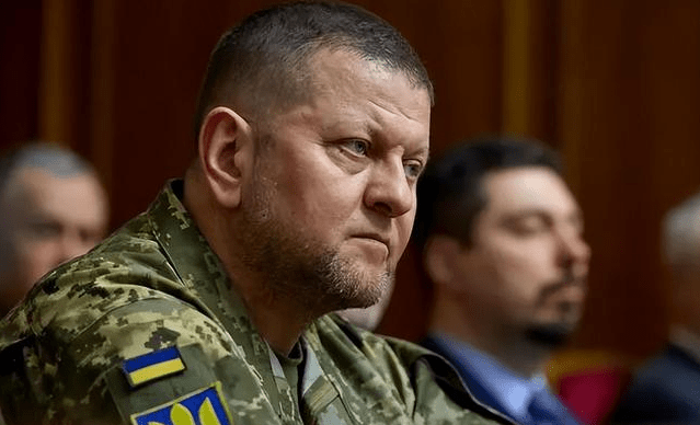 赫什爆料:美欲长期支持扎卢日内